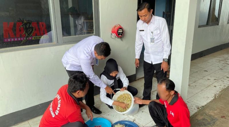 Dukung 13 PROGRAM Akselerasi MENIMIPAS Dalam Wujudkan PEMBINAAN Produktif, WBP LAPAS Batang Panen TAUGE Segar di BIMKER