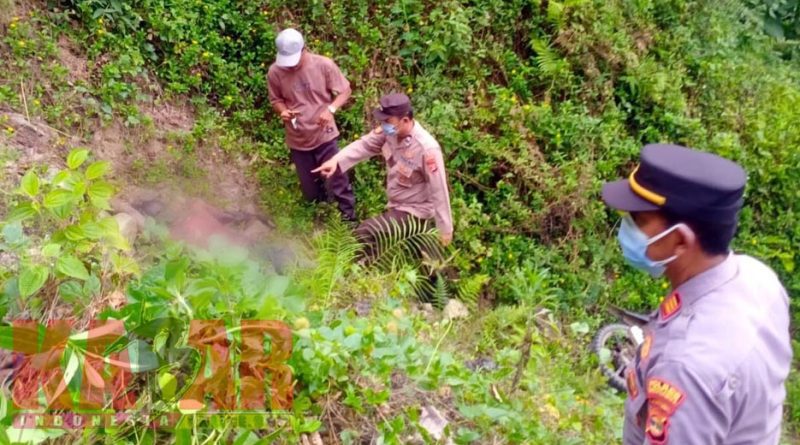 Diduga Alami REM BLONG Saat Turuni Jalanan CURAM dan LICIN, POLSEK Semaka IDENTIFIKASI Temuan MAYAT di Jurang REWEL