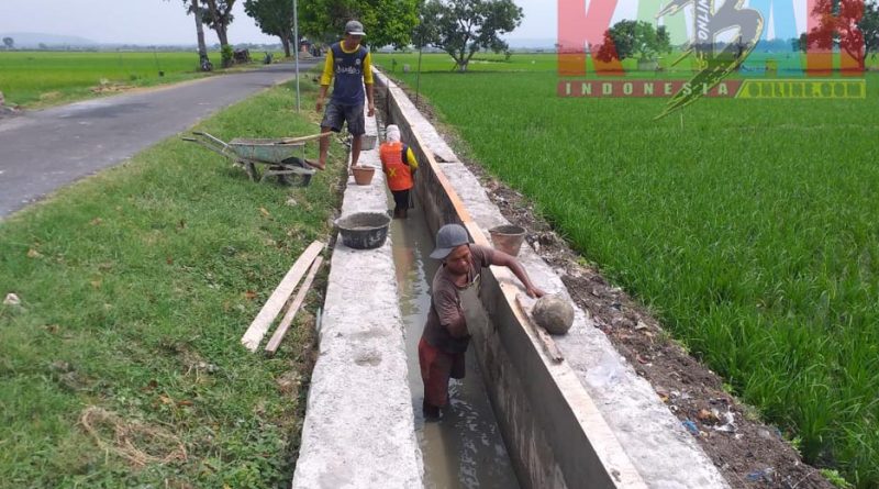 Proyek BANTUAN Pembangunan Saluran IRIGASI Sawah dan TPT dari BBWS Bengawan SOLO di Desa KLOTOK Kecamatan PLUMPANG Telah CAPAI Progres 80 Persen
